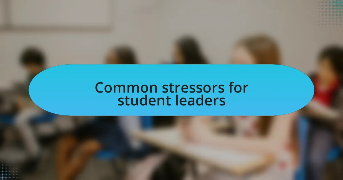 Common stressors for student leaders