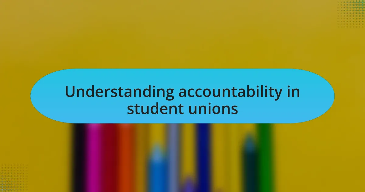 Understanding accountability in student unions